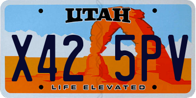 UT license plate X425PV