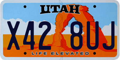 UT license plate X428UJ