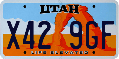 UT license plate X429GF