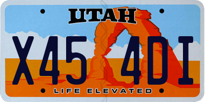 UT license plate X454DI