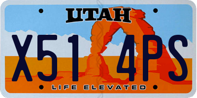 UT license plate X514PS