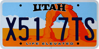 UT license plate X517TS