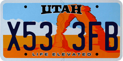 UT license plate X533FB