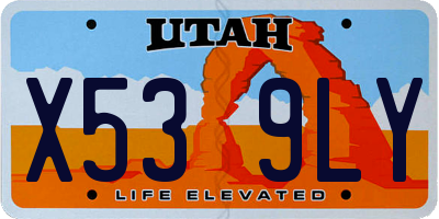 UT license plate X539LY