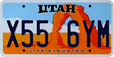 UT license plate X556YM
