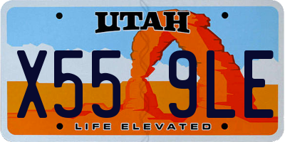 UT license plate X559LE