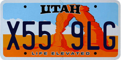 UT license plate X559LG