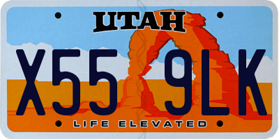 UT license plate X559LK