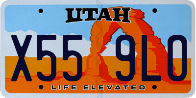 UT license plate X559LO