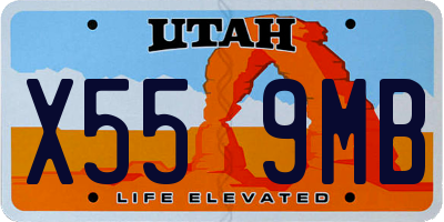 UT license plate X559MB