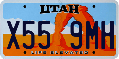 UT license plate X559MH