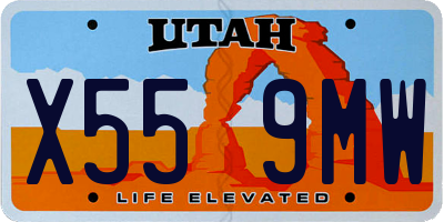 UT license plate X559MW