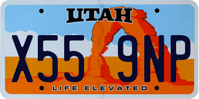 UT license plate X559NP