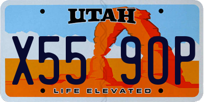 UT license plate X559OP