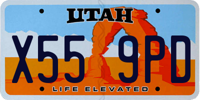 UT license plate X559PD