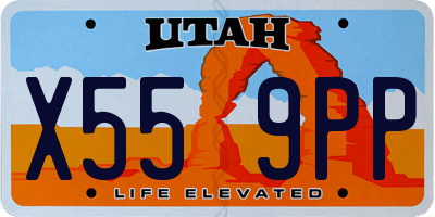 UT license plate X559PP