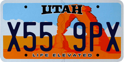 UT license plate X559PX