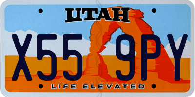 UT license plate X559PY