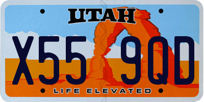 UT license plate X559QD