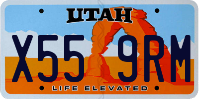 UT license plate X559RM