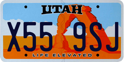 UT license plate X559SJ