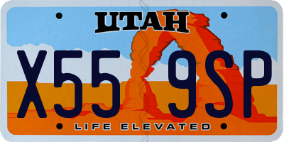 UT license plate X559SP