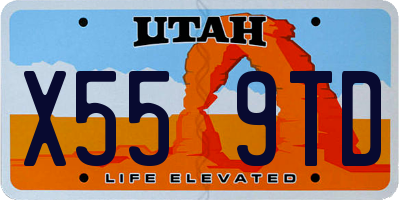 UT license plate X559TD