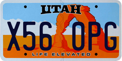 UT license plate X560PG