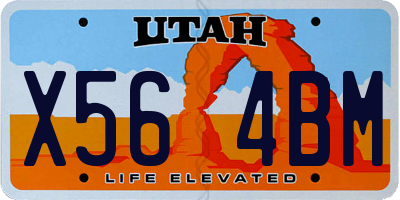 UT license plate X564BM