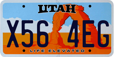 UT license plate X564EG