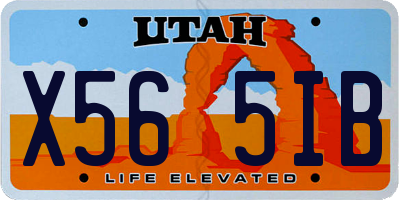 UT license plate X565IB