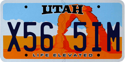 UT license plate X565IM