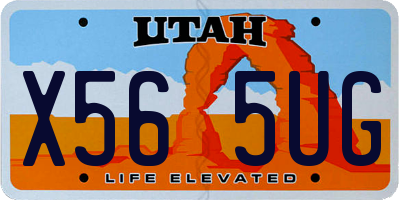 UT license plate X565UG
