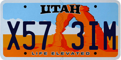 UT license plate X573IM