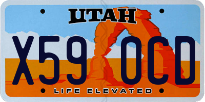 UT license plate X590CD