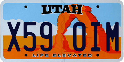 UT license plate X590IM