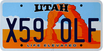 UT license plate X590LF