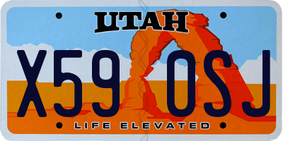 UT license plate X590SJ