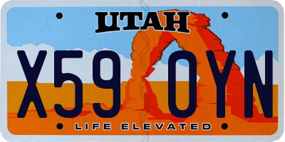 UT license plate X590YN
