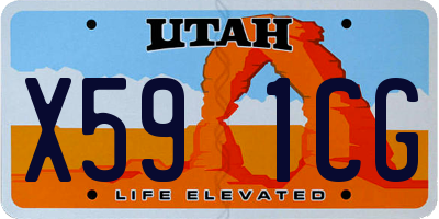 UT license plate X591CG