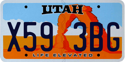 UT license plate X593BG