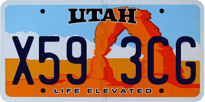 UT license plate X593CG