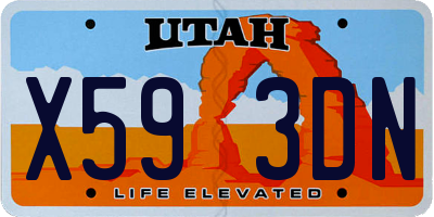 UT license plate X593DN