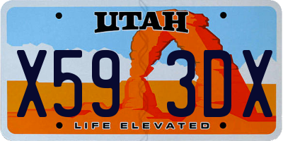 UT license plate X593DX