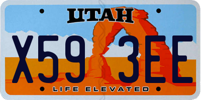 UT license plate X593EE