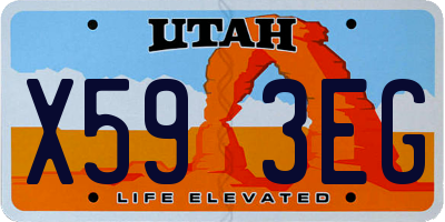 UT license plate X593EG