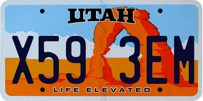 UT license plate X593EM