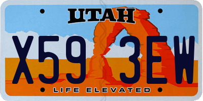 UT license plate X593EW