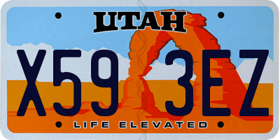 UT license plate X593EZ