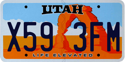 UT license plate X593FM